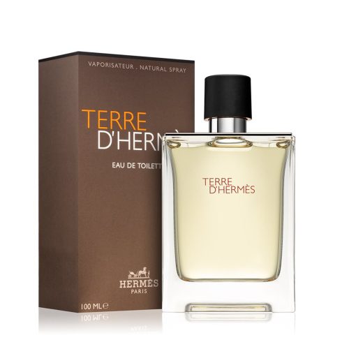 HERMES Terre d' Hermes Eau de Toilette 100 ml